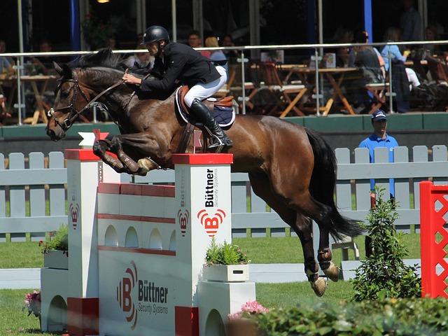 车手表现的 车手表现的