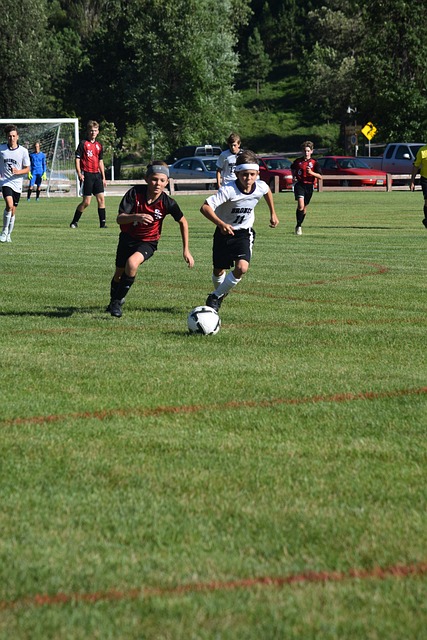 的技战术体 的技战术体