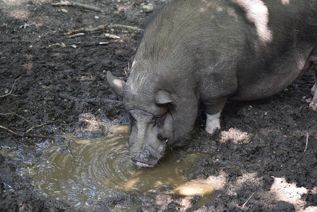 第一局比赛 第一局比赛