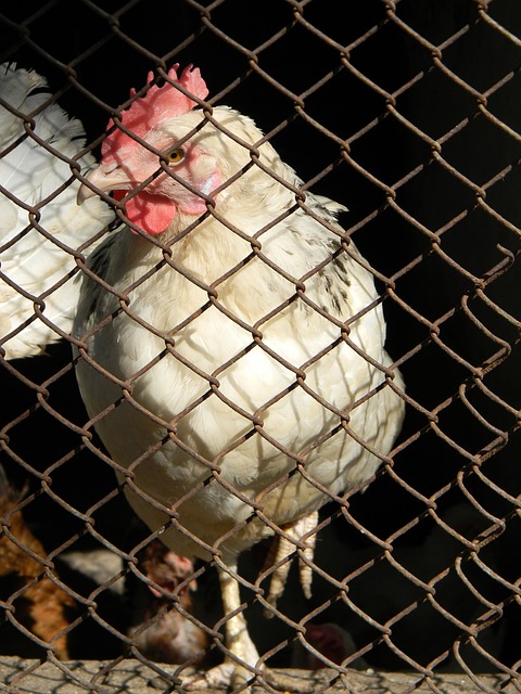 守端的迷失 守端的迷失