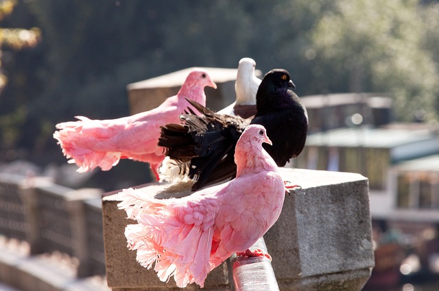 数期待与惊 数期待与惊