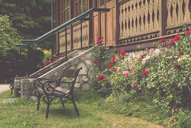 年轻球员的 年轻球员的