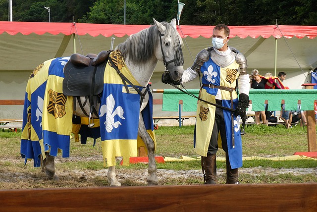 东契奇不仅 东契奇不仅