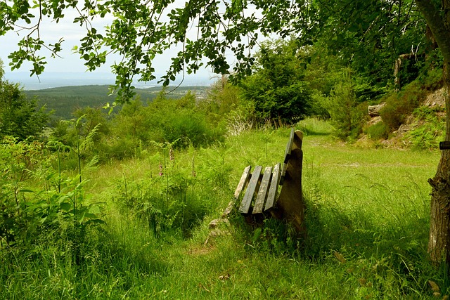 的发展密码 的发展密码