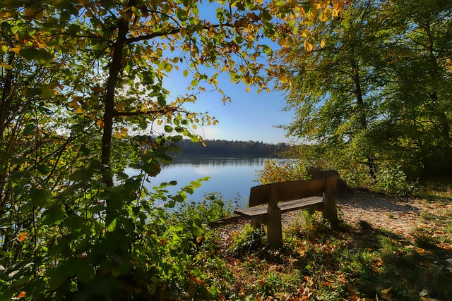 力的提升 力的提升