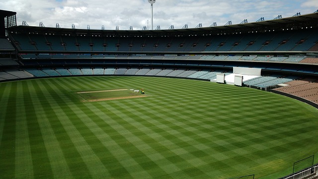 鹿队在球场 鹿队在球场